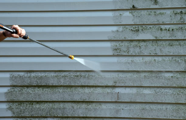 Best Sidewalk and Walkway Cleaning  in Lyons, CO
