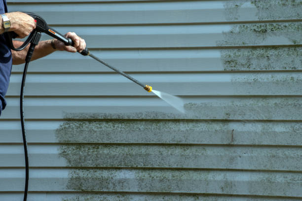 Professional  Pressure Washing Services in Lyons, CO